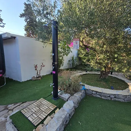 Pharia * Jelsa (Hvar)