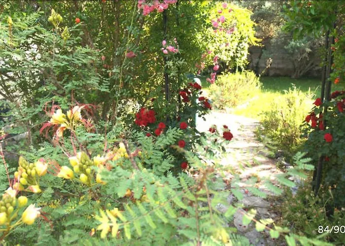 Apartmán Pharia Jelsa (Hvar)